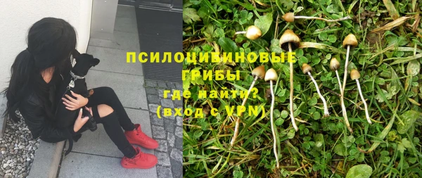 трава Алзамай