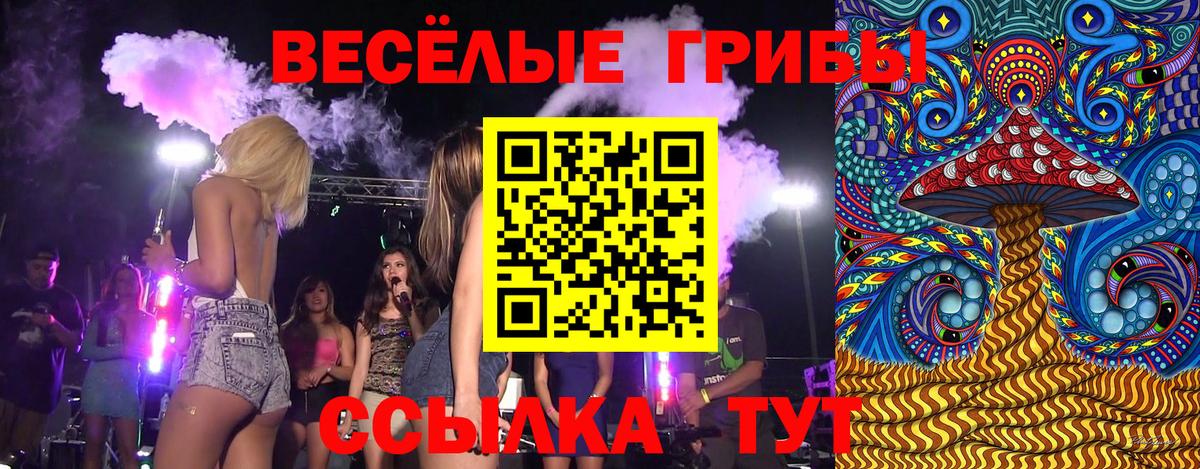 цены   Галлюциногенные грибы GOLDEN TEACHER  Вход с VPN  Канаш 